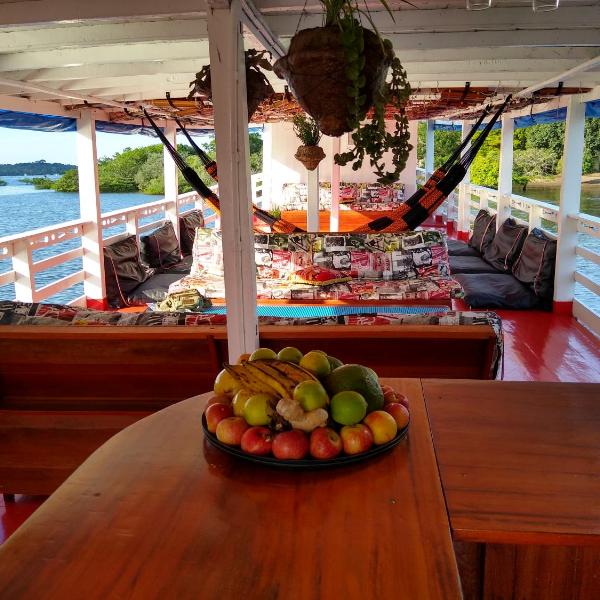 Selvagem Tours - Foto 4