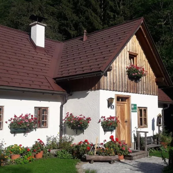 Ferienhaus Lenzau, hotel v destinaci Strohmarkt
