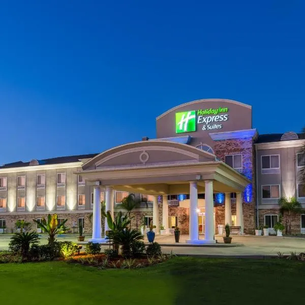 Holiday Inn Express Hotel & Suites New Iberia - Avery Island, an IHG Hotel, hôtel à La Nouvelle-Ibérie