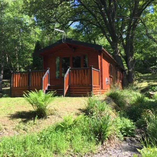 L11 - The Harlech Lodge with Hot Tub, hotel in Dinorwic