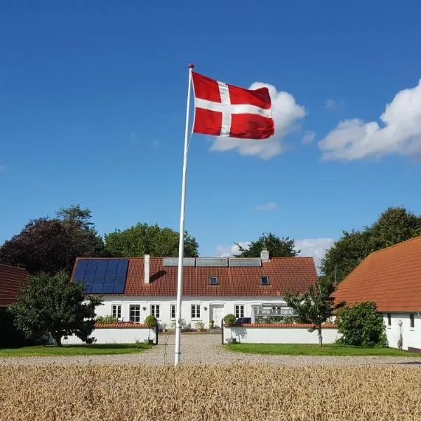 Agermosegaard, hotel in Næs