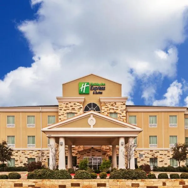 Holiday Inn Express & Suites Brady by IHG, hotel en Brady