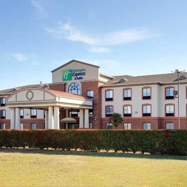벌레슨에 위치한 호텔 Holiday Inn Express Hotel & Suites Burleson - Fort Worth, an IHG Hotel