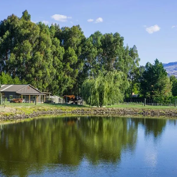 Dunstan Road B&B, отель в Александре