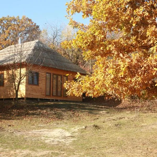 Козацька Фортеця, hotel in Pliskachevka