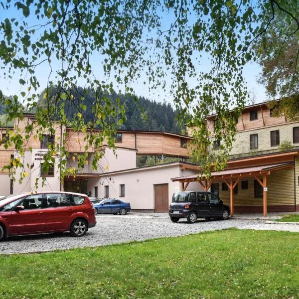 Wellness Hotel Bozeňov, hotel v destinaci Zábřeh