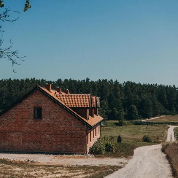 Apartamenty Rodzinne, hôtel à Włodowo