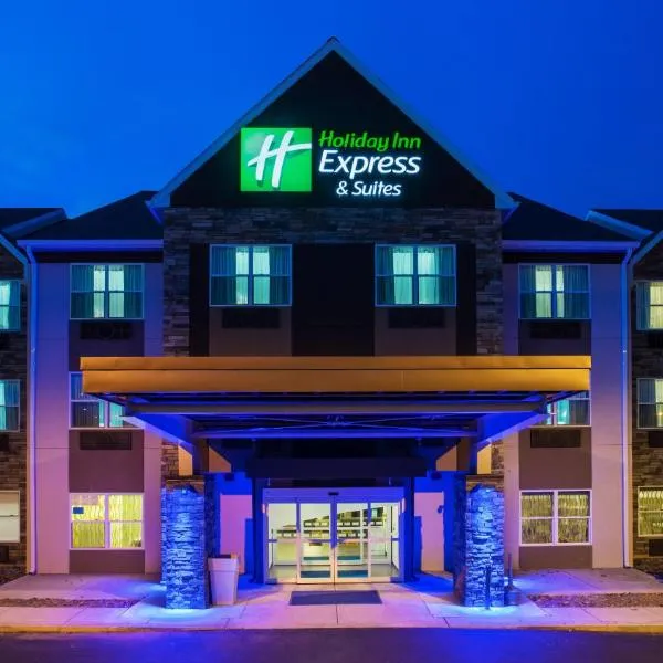 Holiday Inn Express & Suites Wyomissing, an IHG Hotel, hotel in Shartlesville