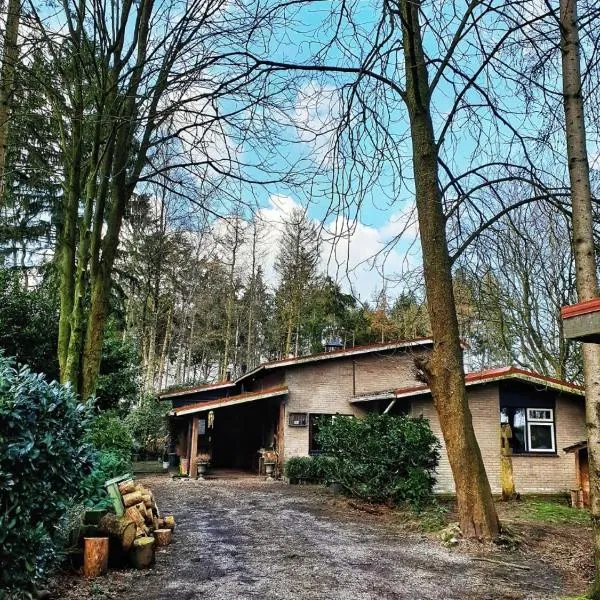 Forest Guesthouse, hotel di Langeveen