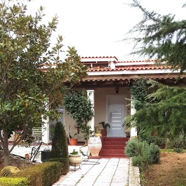 Villa Ioanna, ξενοδοχείο στον Άγιο Ανδριανό