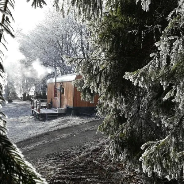 Benno der Wagen - kreativ gestaltetes Tiny House AM WALDRAND Nahezu Alleinlage Rennsteig Grünes Band NATUR PUR Hund willkommen, hotel u gradu Tettau