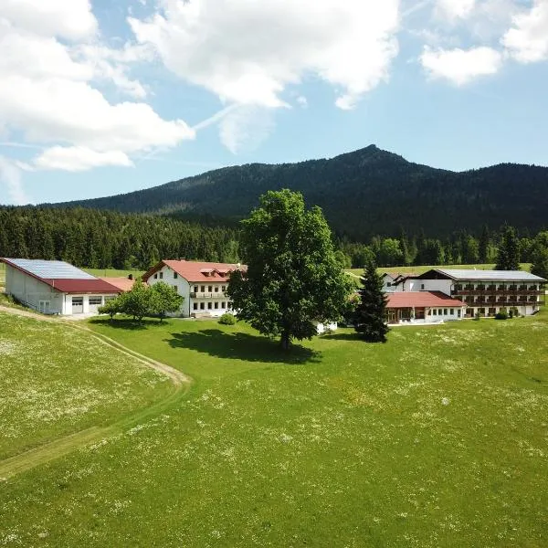 Osserhotel Garni, hotel in Arrach