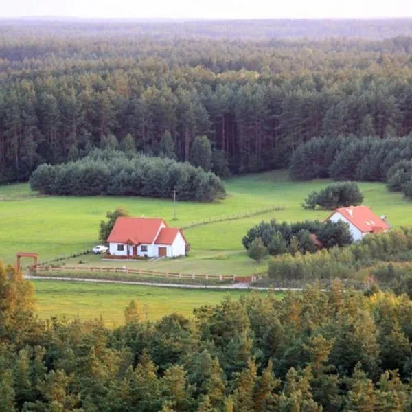 Dom pod Dziką Gruszą, hotel in Piecki