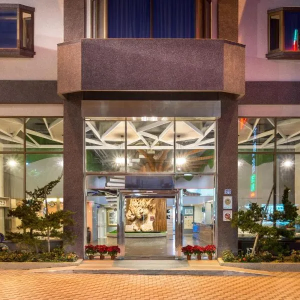 Yadi Hotel, hotel in Puli