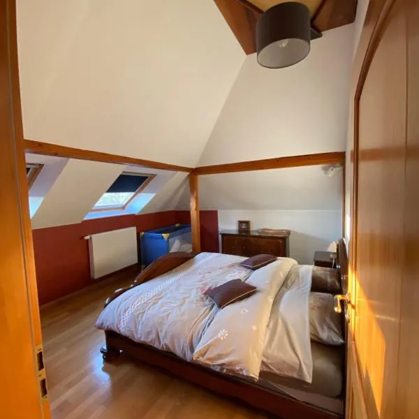 Appart Les Cerises Entre Strasbourg et Haguenau, khách sạn ở Bischwiller