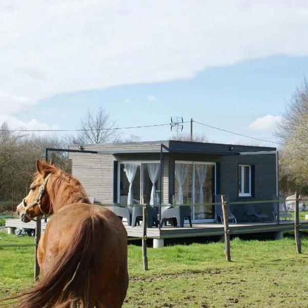 Cottage tout confort au milieu des chevaux: Saint-Fargeau şehrinde bir otel