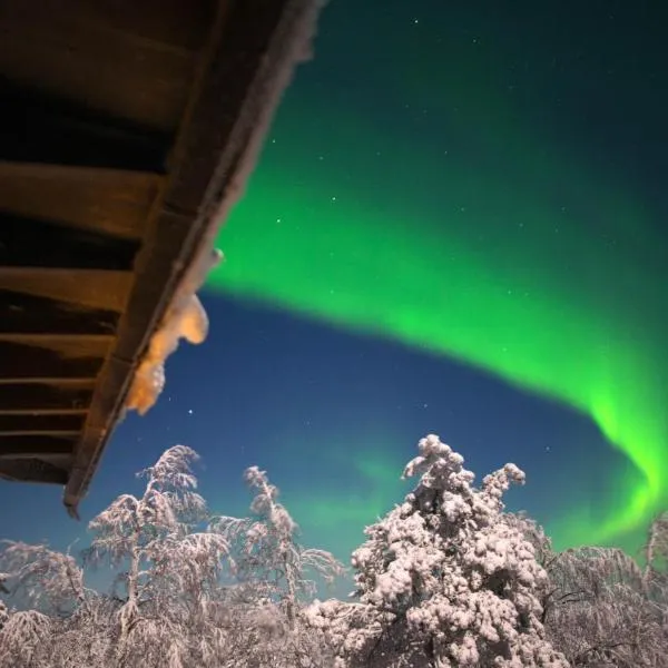 Arctic Giant, hotel in Paltamo