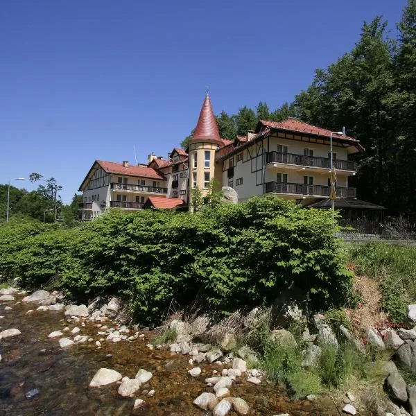 Nowa - Ski SPA Hotel – hotel w mieście Zachełmie