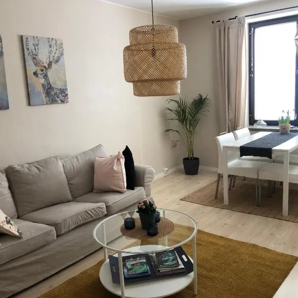 Kemi city center 2 room and kitchen Free private parking, מלון בקמי