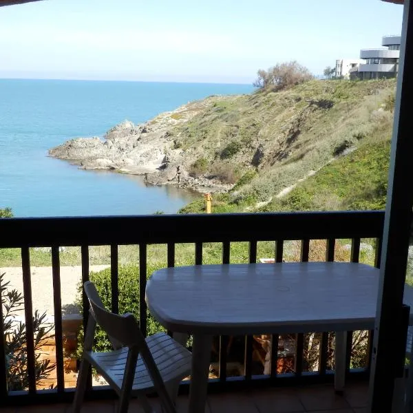 Appartement vue mer Port Vendres Collioure direct crique wifi, hotell i Port-Vendres