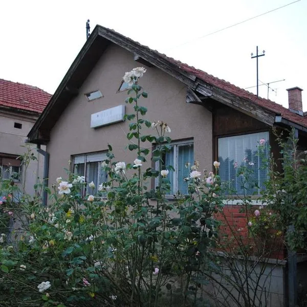 Vila Happy Story, hotel v destinaci Knjazevac.