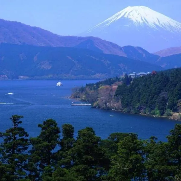 Chalet Itomic M - Mountain view -, hotel v destinaci Hakone