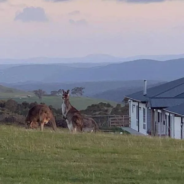 Rooks Edge, hotel en Gisborne