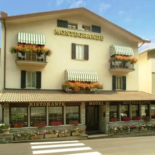Hotel Montegrande, hotel v destinaci Vidiciatico