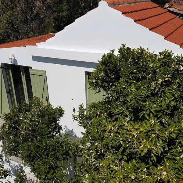 Nefeli Traditional House, hotel v destinaci Alonissos