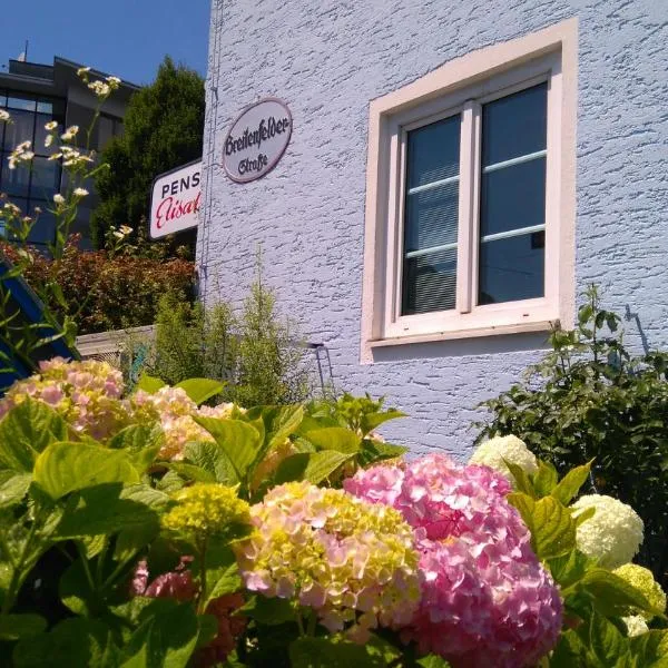 Pension Elisabeth - Rooms & Apartments, hotel v Salcburku