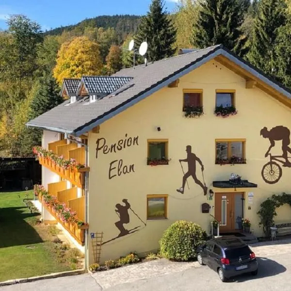 Pension Elan, hotel in Bayerisch Eisenstein
