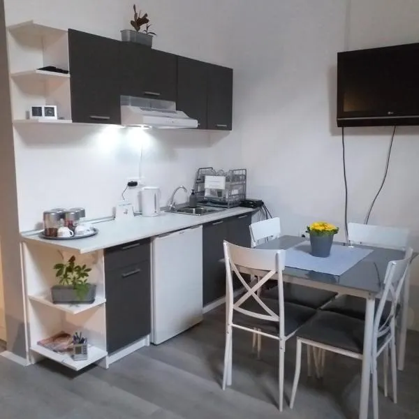 Apartman Stari most - Old Bridge, hotel v destinaci Bečej