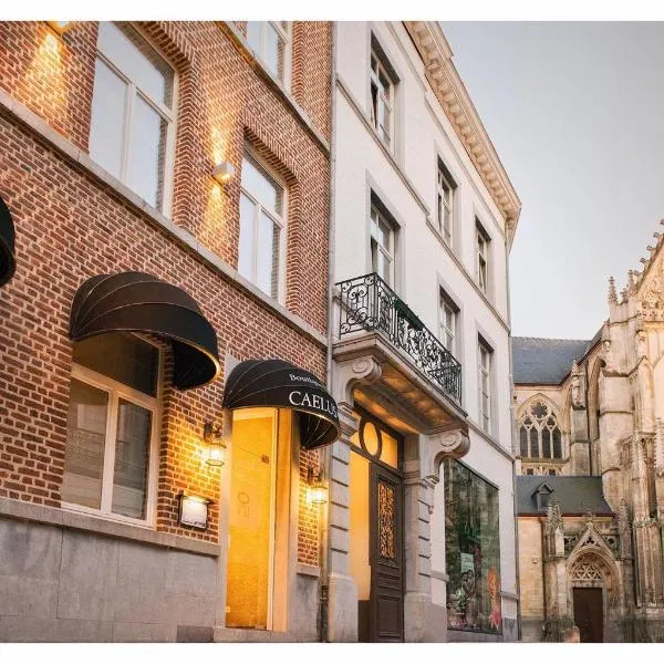 Boutique Hotel Caelus VII, hotel en Hoeselt