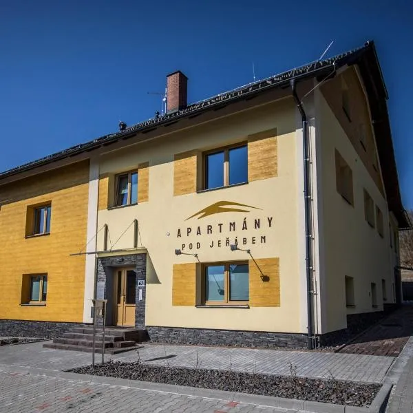 Apartmány pod Jeřábem, Šanov 67, Červená Voda, hotel v destinaci Červená Voda