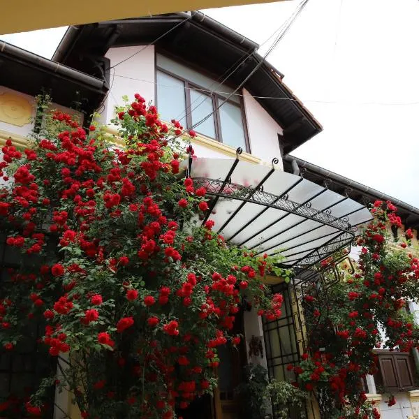 Pension Kokett, hotel v destinaci Cimpulung