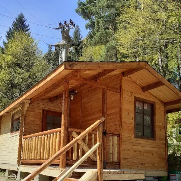 CABANUTE si CAMPING DRACULA, hotel i Căpăţîneni-Pămînteni