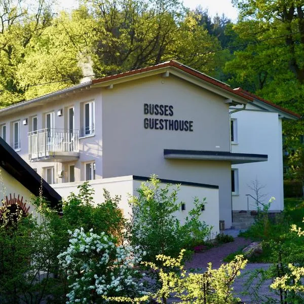 Busses Guesthouse, hotel ve Freiburgu