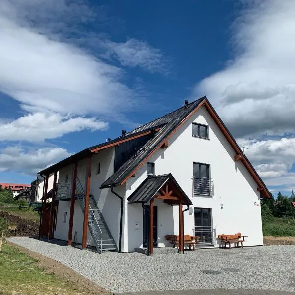 Apartment NESS, hotel in Boží Dar
