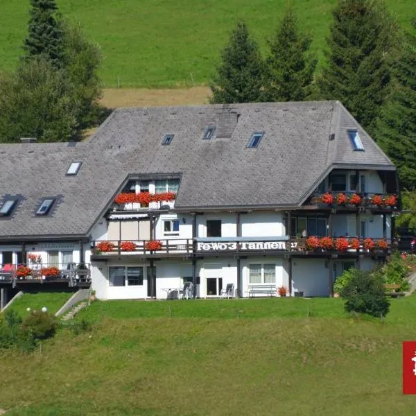Drei Tannen, hotel v destinaci Todtnau