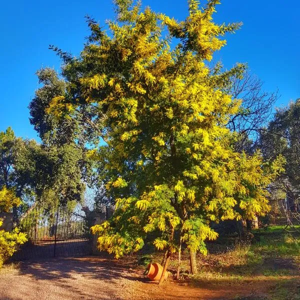 Finca la Viriñuela, hotell i Galaroza