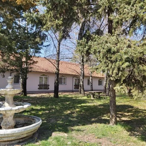 ADICA PRENOĆIŠTE SPORT Wellness centar - bazeni, hotel a Ada