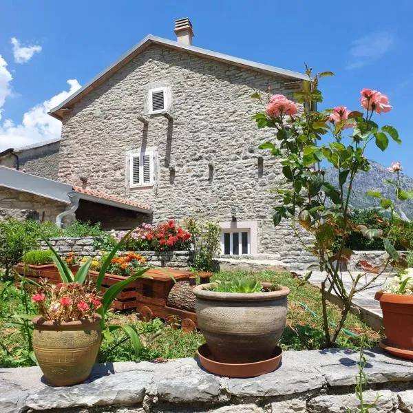 Guest House Maza, hotel v destinaci Kotor