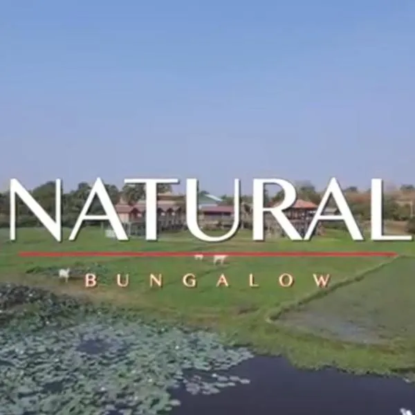 Natural bungalows，磅湛的飯店