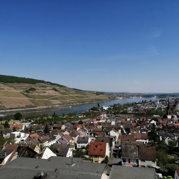 Großes PANORAMA APARTMENT, hotel in Bingen am Rhein