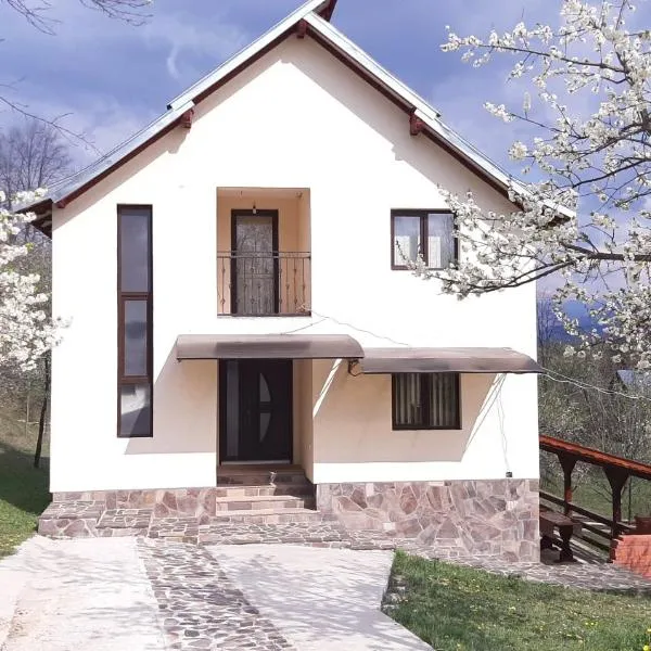 모이세이에 위치한 호텔 Casa Fluțar