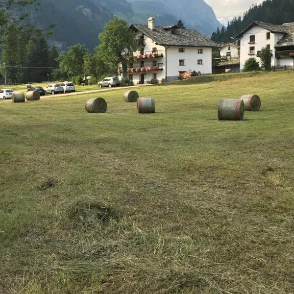 Flora Alpina apartments-Residenza Verdebjo, hotel sa Gressoney-Saint-Jean