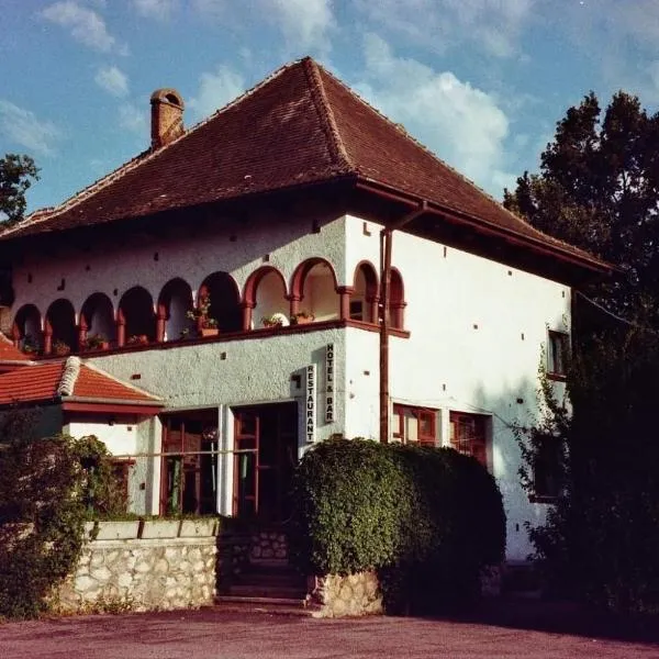 Motel Hanul Balota, hotel in Corcova