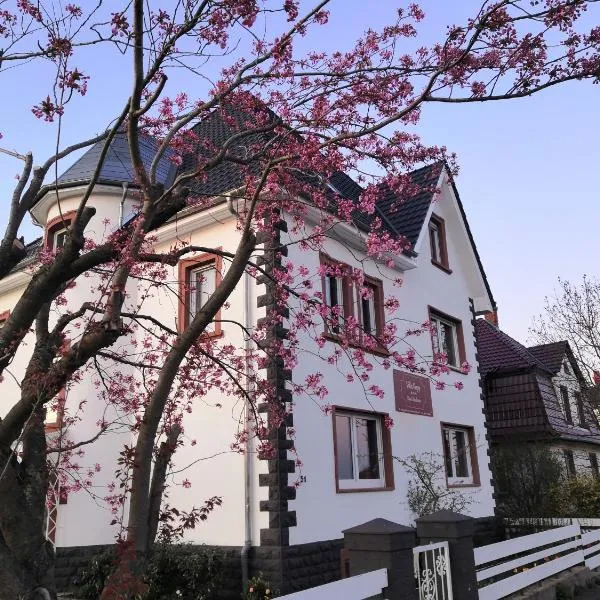Villa Kopp-Das Gästehaus, hotel v destinaci Höpfingen