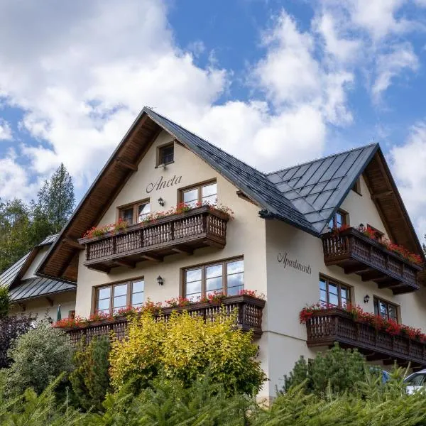 Apartmany Aneta, hotel in Špindlerův Mlýn