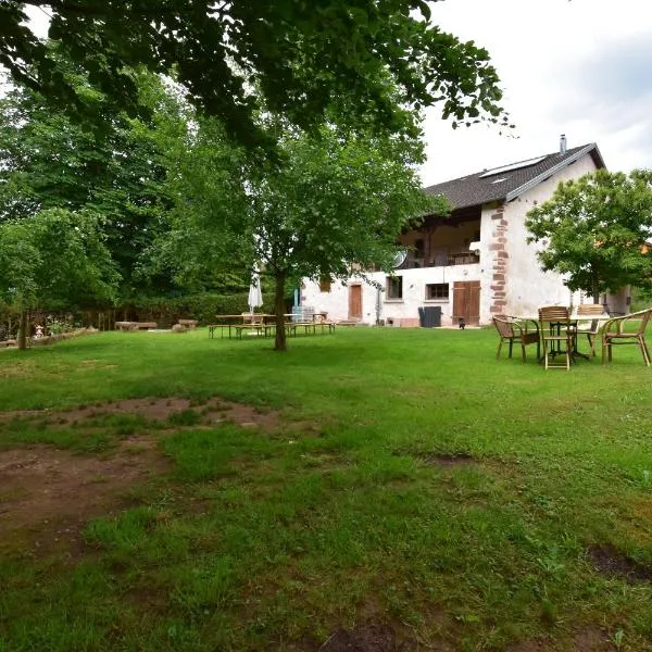 Serendipity For All Apartments, hotel en Saint-Dié-des-Vosges